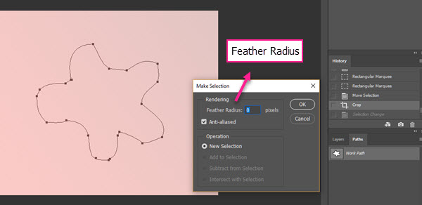 گزینه Feather Radius